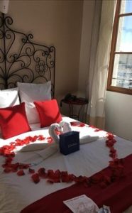 						 Hôtel écologique Belle-Vue vieux-port Marseille 