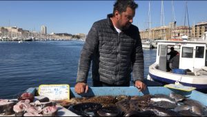 poisson marché de la criee marseille