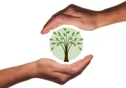 RSE écologie green vert