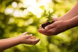 en pleine nature vert un parent donne une plante à un enfant, écologie